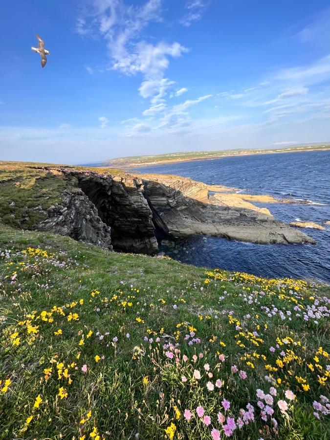 Peedie Cott Self-Catering, Orkney Saint Margarets Hope Kültér fotó