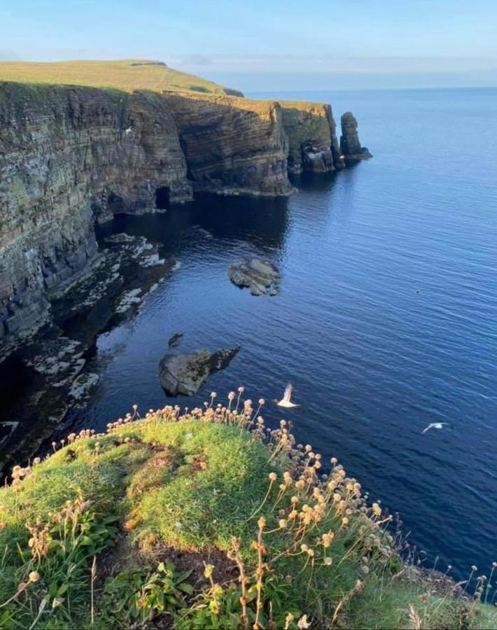 Peedie Cott Self-Catering, Orkney Saint Margarets Hope Kültér fotó